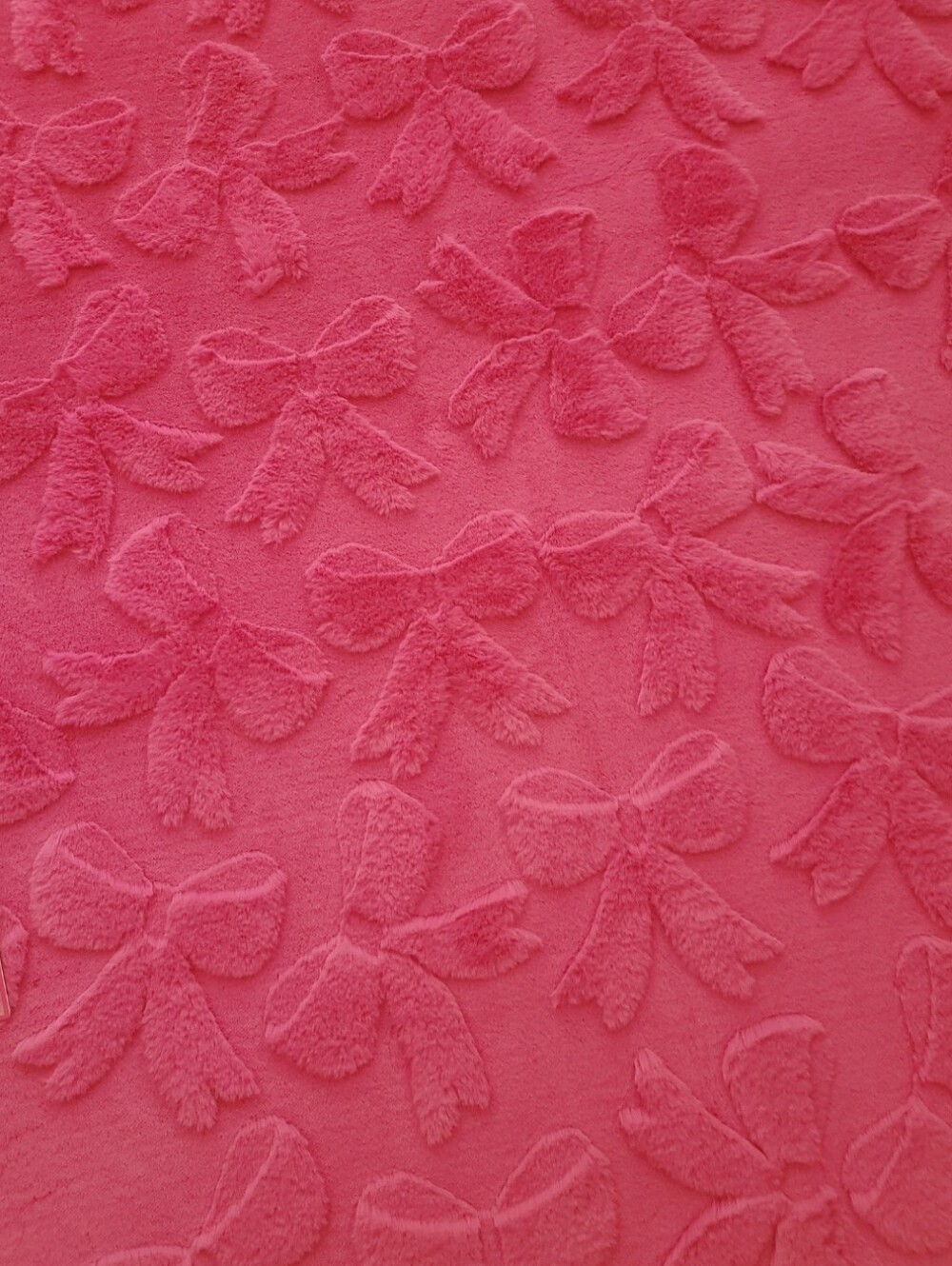 Juicy Couture Rug ๐ - Picture 3 of 4